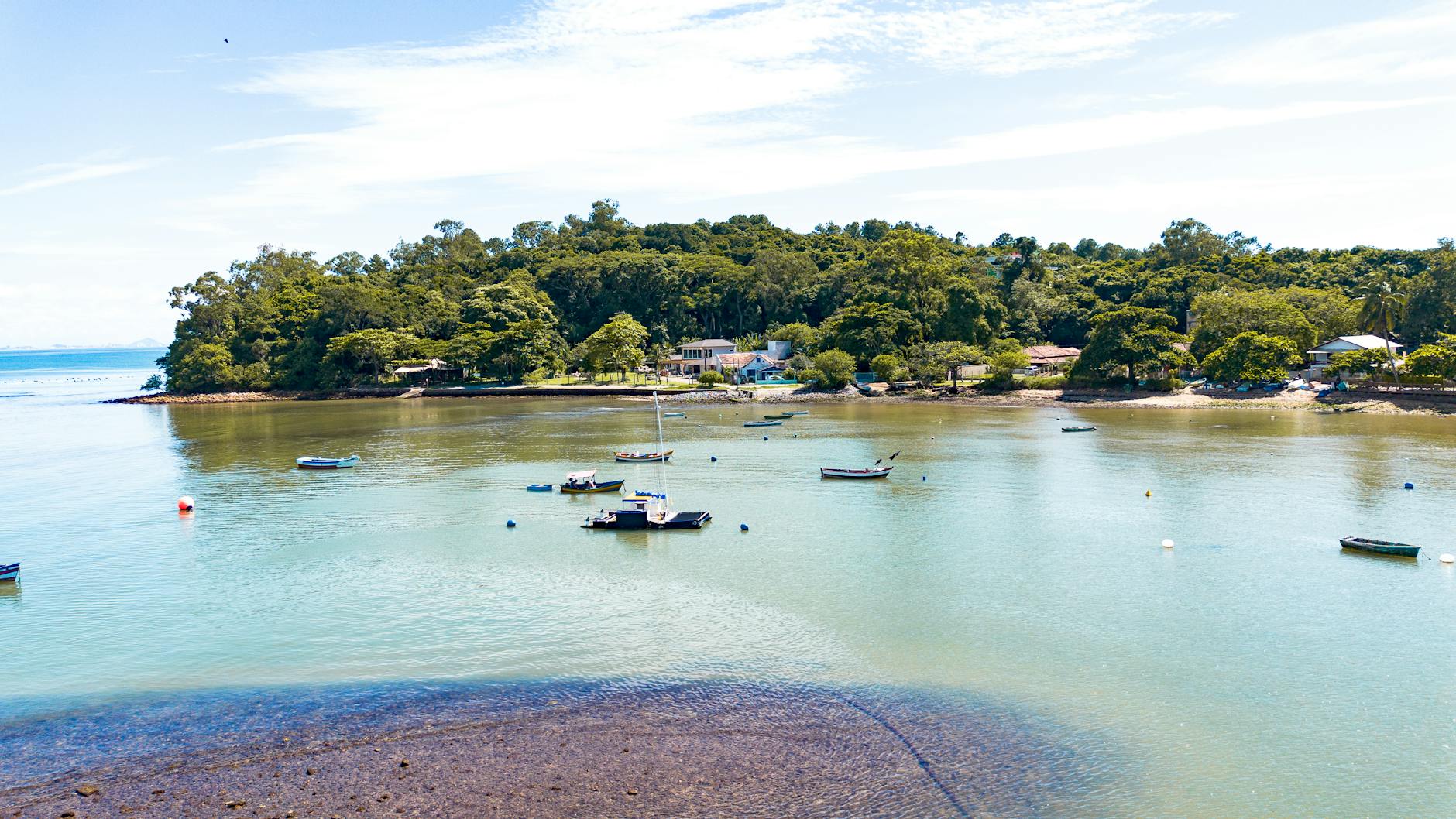 프듀 48 파이널 신청