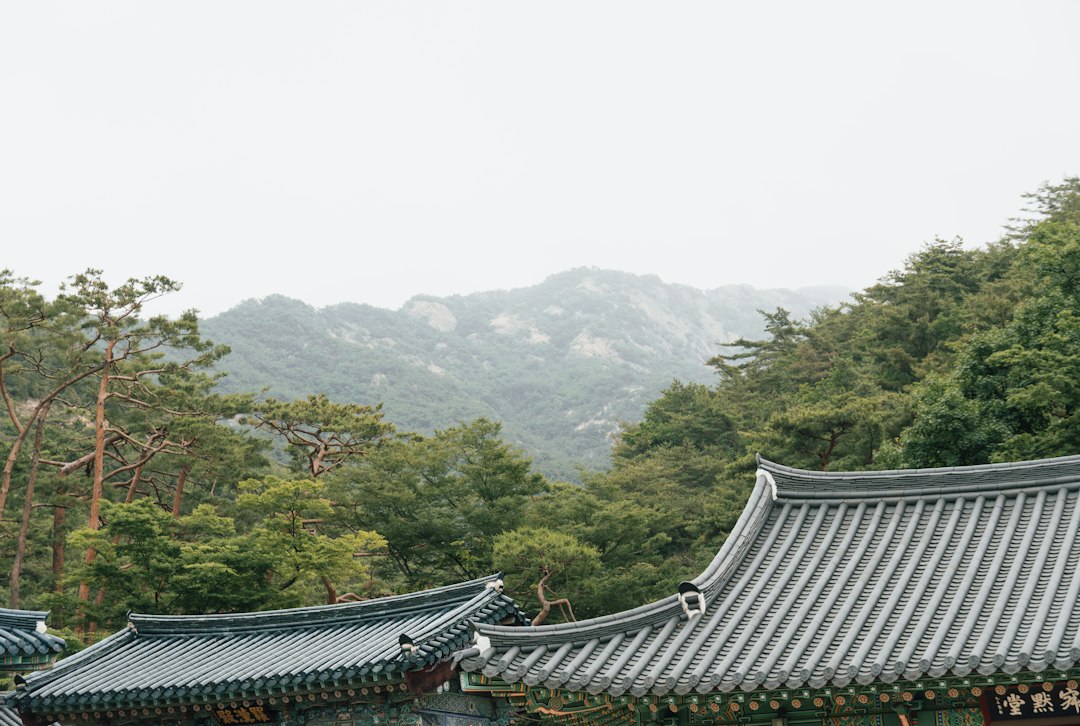 한자부수 참고 이미지 2